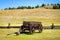 Florissant Fossil Beds National Monument