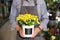 Florist holding blooming Calceolaria herbeohybrida plant n the flowerpot at the flowers shop