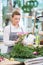 Florist Making Bouquet Of Roses In Flower Shop