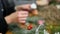 Florist making christmas door wreath.