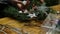 Florist making christmas door wreath.