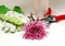 Florist\'s tools and flower