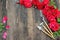 Florist vintage gardening set with red roses and tools on wooden table