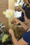 Florist woman making arrangements with white Dahlia flowers