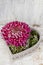 Florist at work: how to make simple floral arrangement with pink chrysanthemum flower and moss