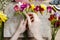 Florist at work. Woman making bouquet of freesia flowers