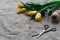 Florist workplace with yellow tulips ready to present