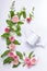 Floristic vertical summer composition: bindweed leaves, flowers and rosebuds on a white background. Top view