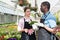 Florists discussing flowers seedlings