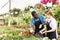 Florists discussing flowers seedlings