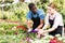 Florists discussing flowers seedlings