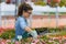 Florists woman working with flowers in a greenhouse