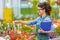 Florists woman working with flowers in a greenhouse