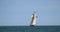 A flotilla of historic tall ships, sailing on Lake Erie in the summer.