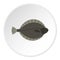 Flounder fish icon circle