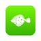 Flounder fish icon digital green