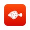 Flounder fish icon digital red