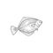 Flounder flat fish species isolated sketch icon