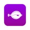Flounder icon digital purple
