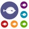 Flounder icons set