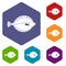 Flounder icons set hexagon