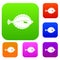 Flounder set color collection