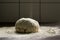 Flour falling on fresh pastry made with original, traditional recipe  on the kichen table covered with flour