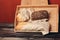 flour products baked goods on a wooden tray and a board in the background on the table