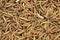 flour worms background