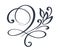 Flourish swirl ornate decoration for pointed pen ink calligraphy style. Quill pen flourishes. For calligraphy graphic