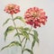 Flourishing Zinnia Flowers: A Serene Botanical Delight