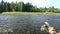 Flow of a clean transparent river in the summer