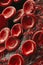 flow of erythrocytes blood cells