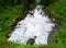 Flow of White Frothy Water Running Away into Greenery