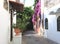 Flower alley on island of Capri in Italy. Beautiful summer landscape.