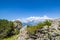 Flower Alpenrose on mountain Reiteralm and distant mountain rang