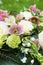 Flower arragement with helleborus blossoms