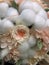 Flower arrangement cotton blooms in white, roses in a beautiful blend of peach, light peach and white color, preserved hydrange.