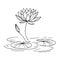 Flower arrangement line art collection, Advanced Flower Coloring Page, Beautiful waterlily flowers wall ar