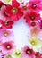 Flower arrangement of multicolored mallow flowers.