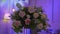 Flower arrangement at party. Decorated with pink rose flowers at wedding.