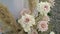 Flower arrangement at party. Decorated with white and pink flowers at wedding.