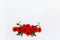 Flower arrangement of poppies on a white background.