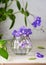 Flower arrangement with purple and white flowers \\\'Blue Fountain\\\' false African in a mini glass vase.