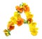 flower arrangements with yellow orange real fresh flowers letter A