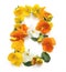 flower arrangements with yellow orange real fresh flowers letter B