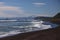 Flower autumn nature tree landscape pacific beach ocean