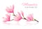 Flower background with blossom branch of pink magnolia.