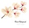 Flower background with blossom branch of white magnolia.