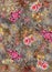 Flower background color pattern image cute graphics digital vintage colorful